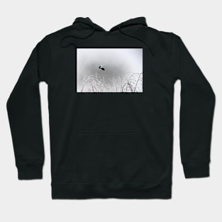 Magpie / Swiss Artwork Photography Hoodie